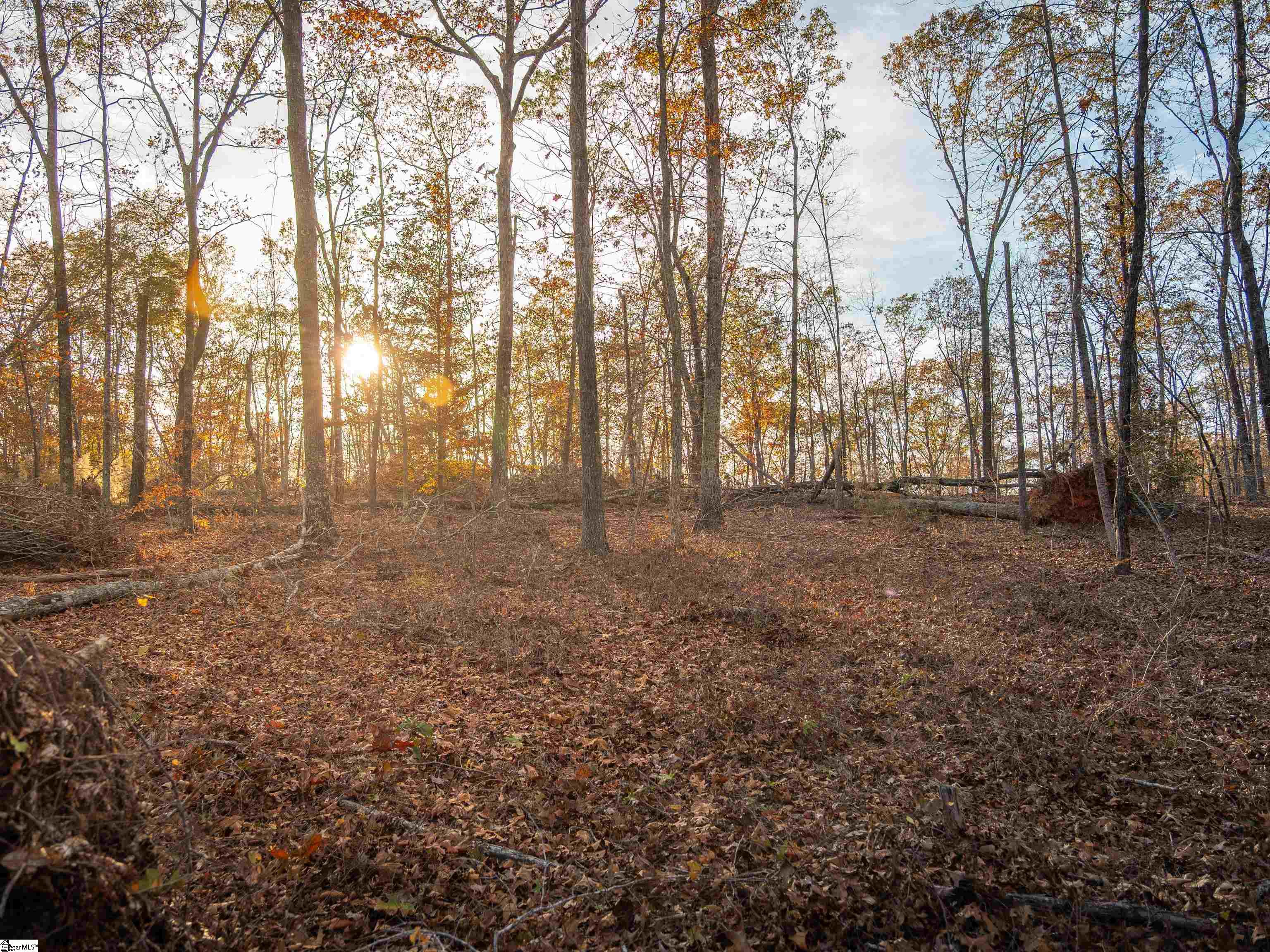 261 West Chapman Road, Unit LOT 10 Belton, SC 29627 - Photo 4 of 25