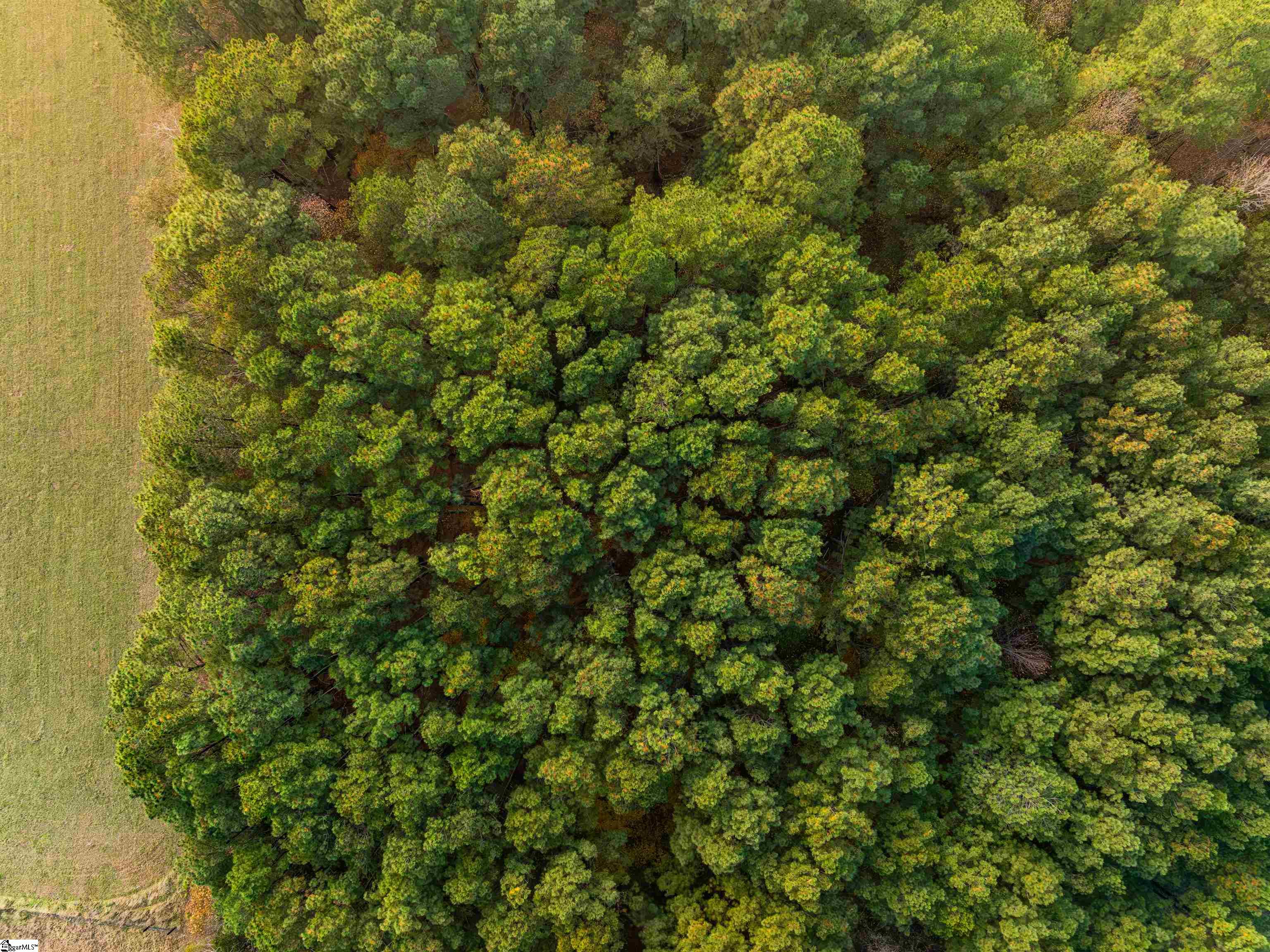 261 West Chapman Road, Unit LOT 10 Belton, SC 29627 - Photo 9 of 25