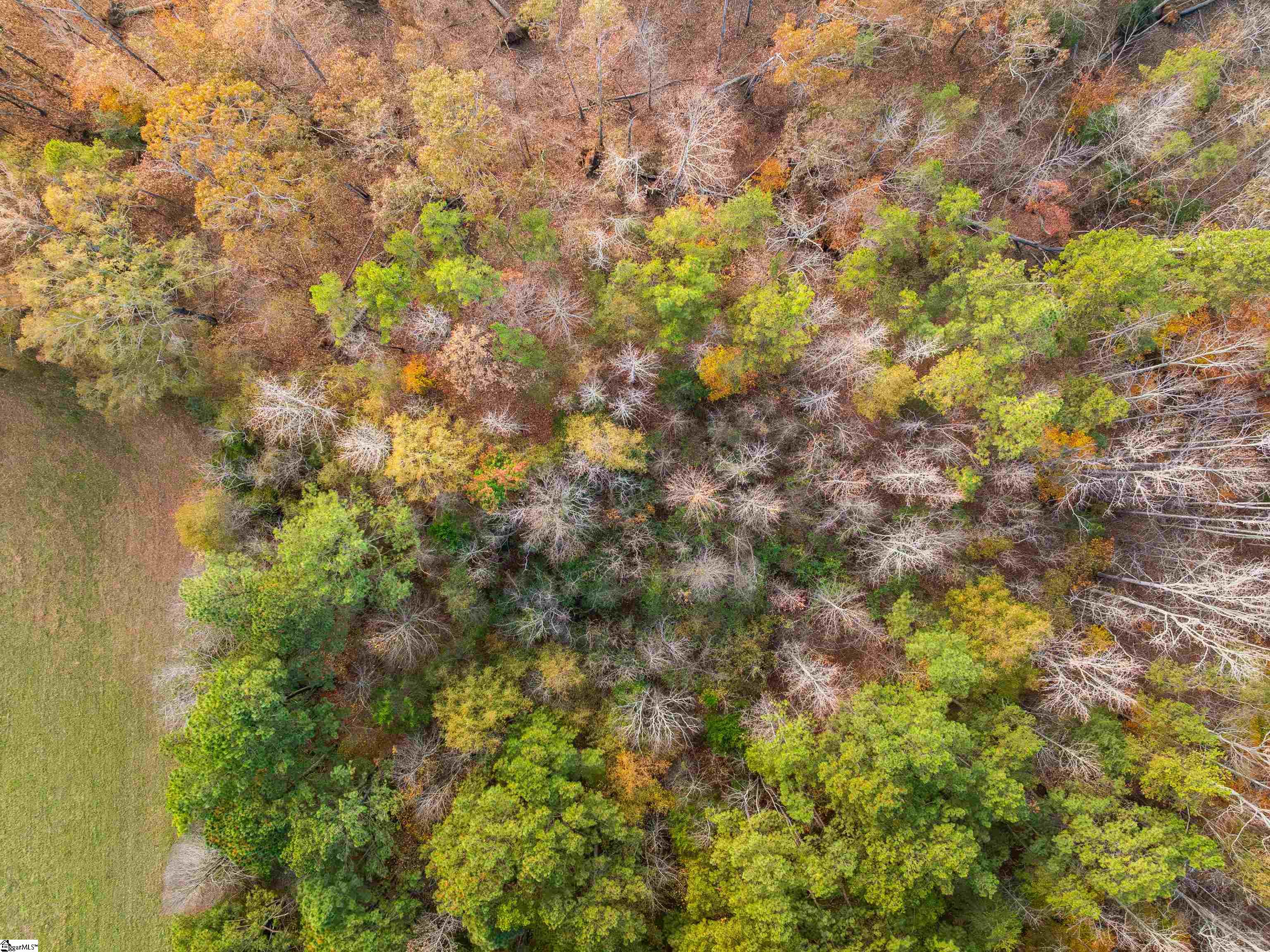 261 West Chapman Road, Unit LOT 10 Belton, SC 29627 - Photo 10 of 25