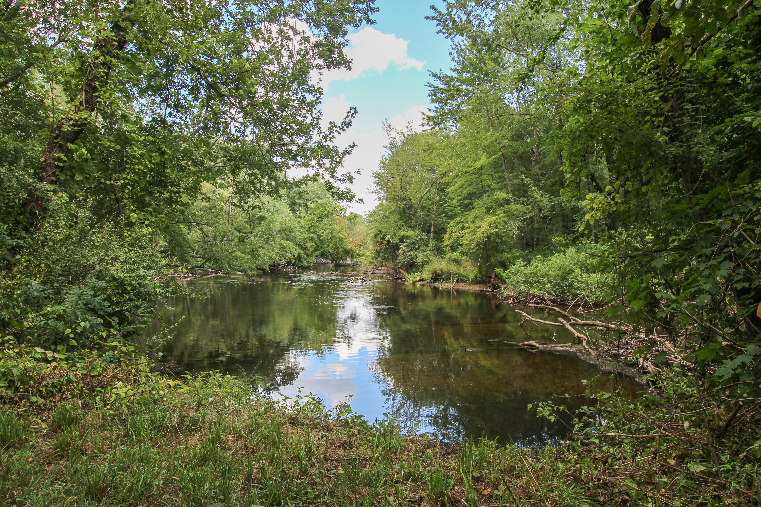 18124 South Fisher Lake Road Three Rivers, MI 49093 - Photo 56 of 85 S Fisher Lake-73