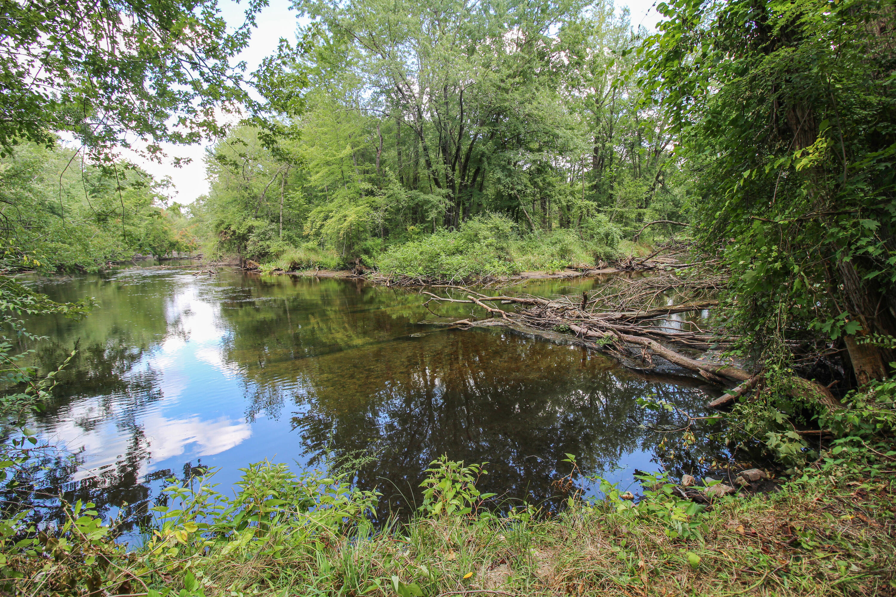 18124 South Fisher Lake Road Three Rivers, MI 49093 - Photo 57 of 85 S Fisher Lake-72