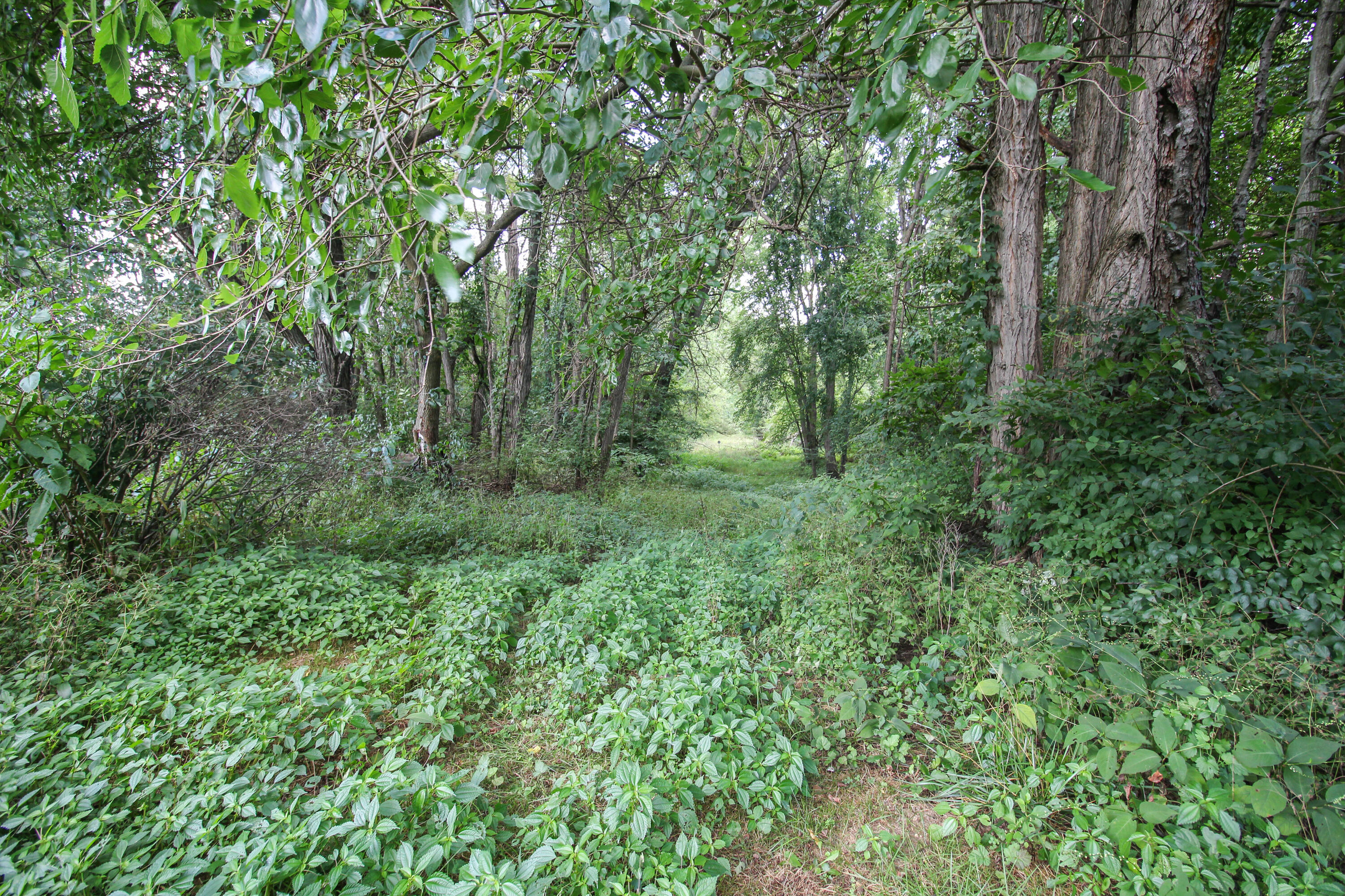 18124 South Fisher Lake Road Three Rivers, MI 49093 - Photo 58 of 85 S Fisher Lake-64