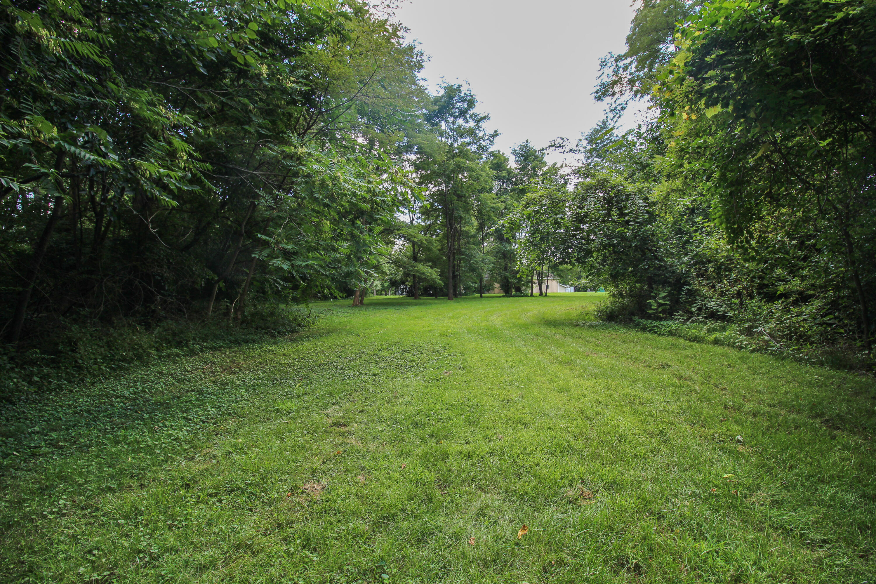 18124 South Fisher Lake Road Three Rivers, MI 49093 - Photo 59 of 85 S Fisher Lake-65