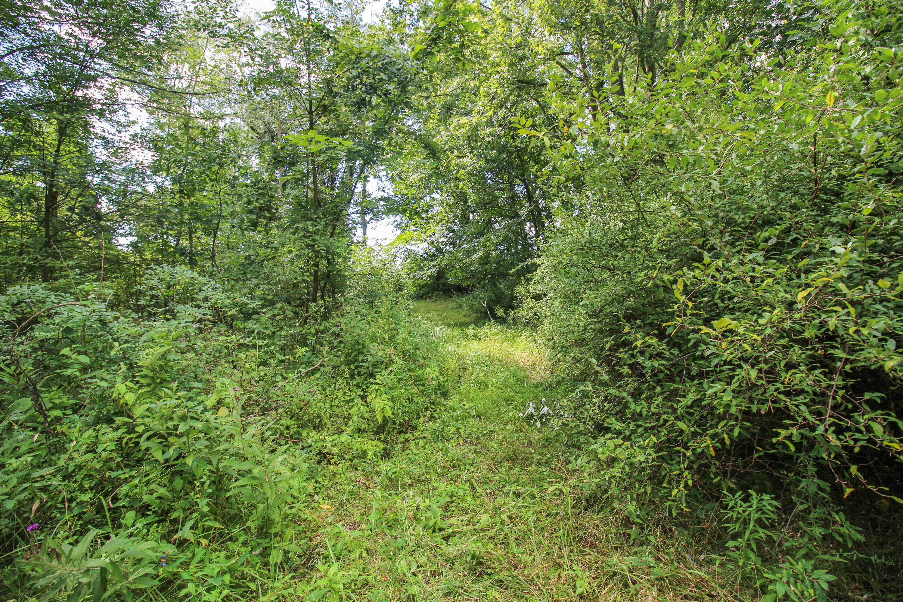 18124 South Fisher Lake Road Three Rivers, MI 49093 - Photo 60 of 85 S Fisher Lake-66