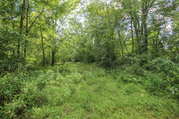 $475,000 | 18124 South Fisher Lake Road, Three Rivers, MI 49093