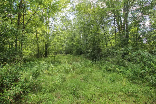 $494,900 | 18124 South Fisher Lake Road, Three Rivers, MI 49093