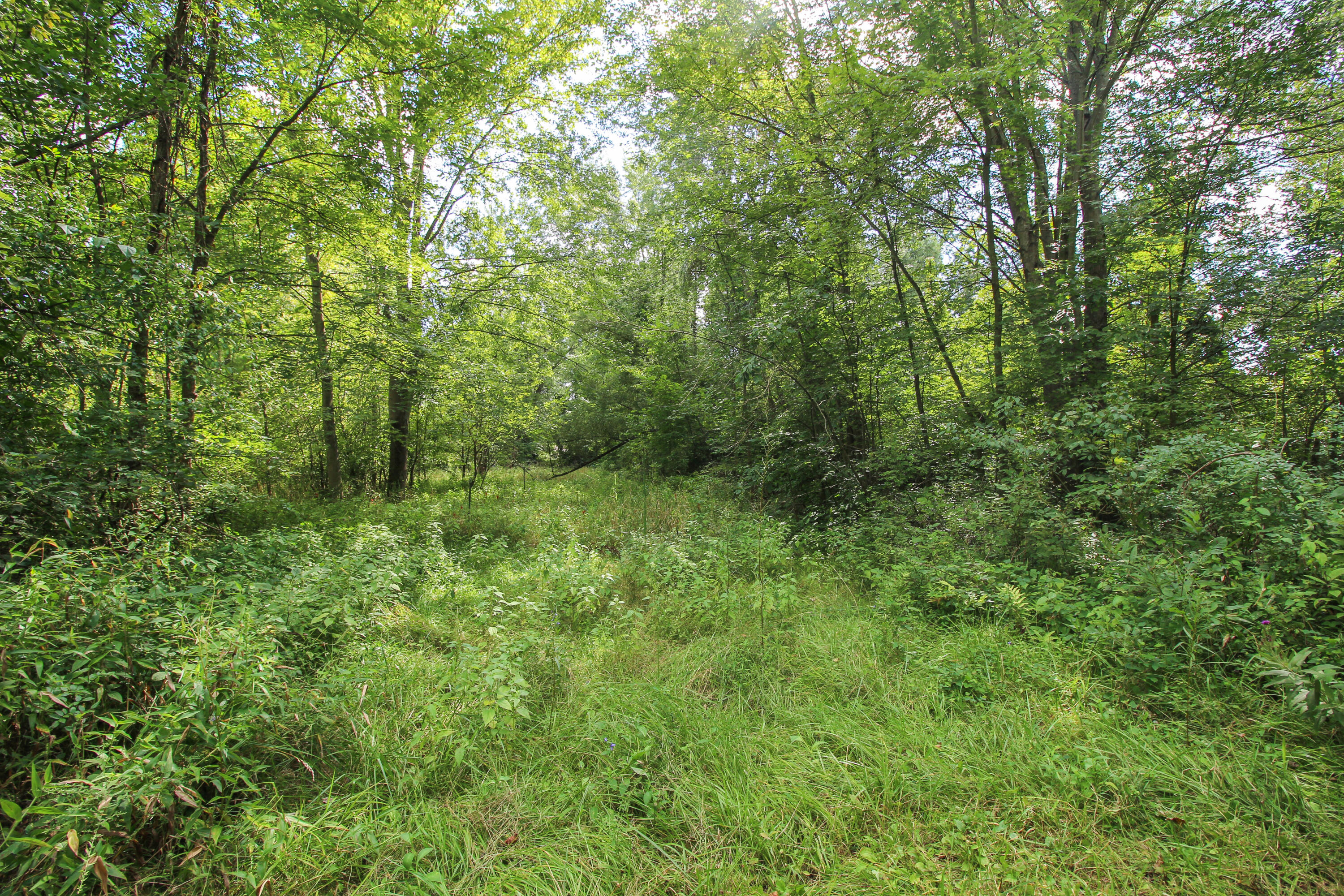 18124 South Fisher Lake Road Three Rivers, MI 49093 - Photo 61 of 85 S Fisher Lake-67