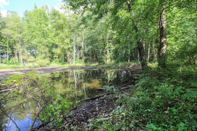 $494,900 | 18124 South Fisher Lake Road, Three Rivers, MI 49093