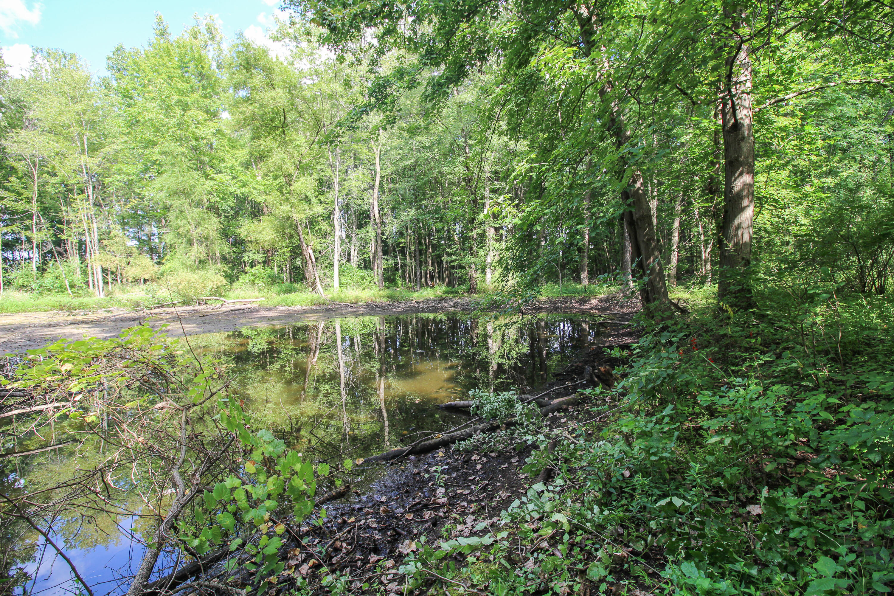 18124 South Fisher Lake Road Three Rivers, MI 49093 - Photo 62 of 85 S Fisher Lake-68