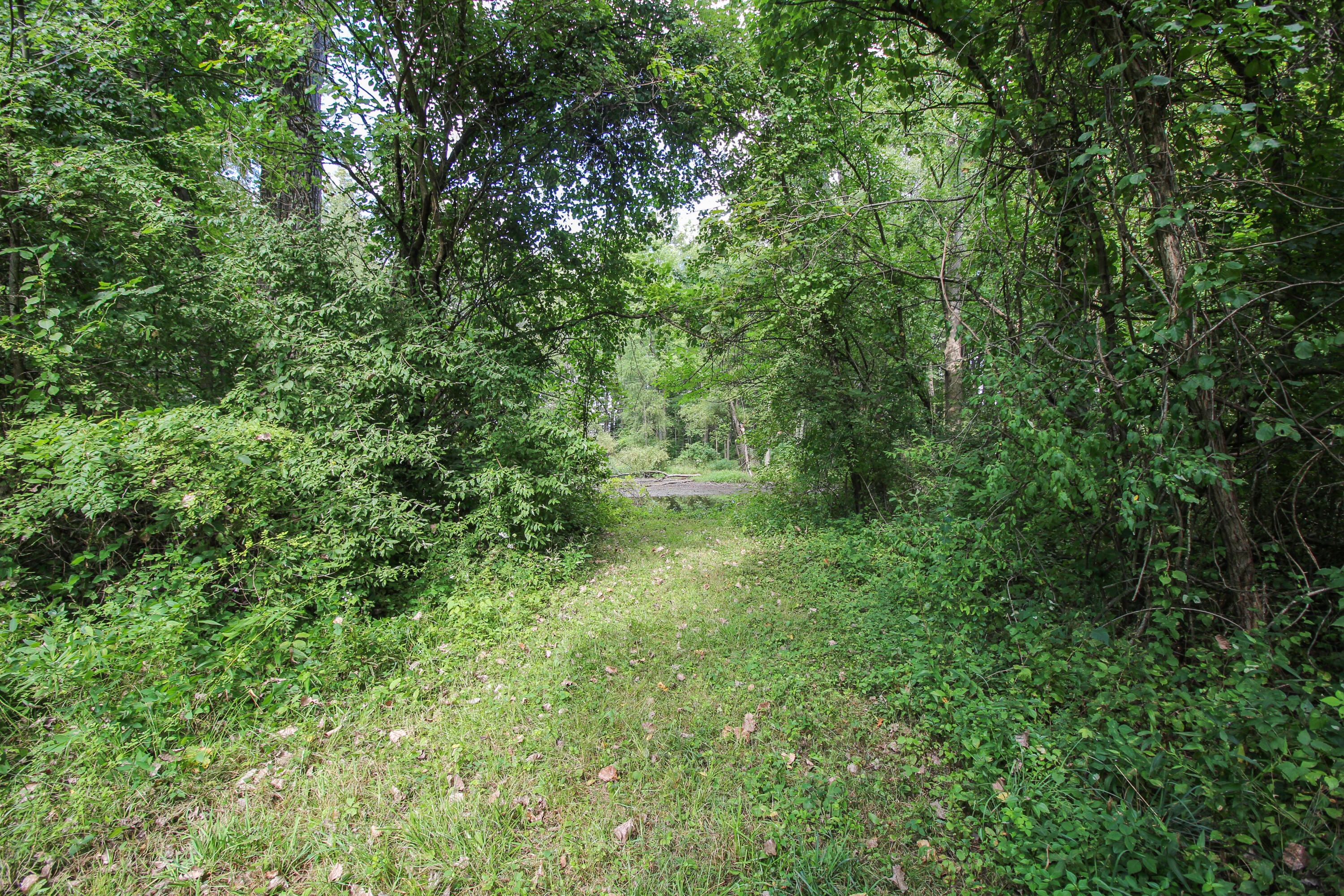 18124 South Fisher Lake Road Three Rivers, MI 49093 - Photo 63 of 85 S Fisher Lake-69