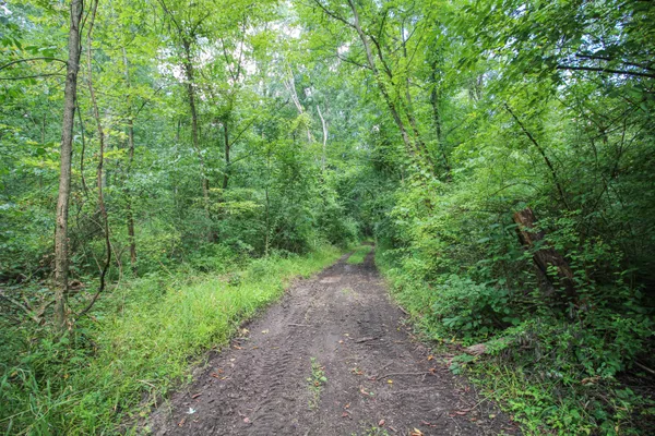 $475,000 | 18124 South Fisher Lake Road, Three Rivers, MI 49093