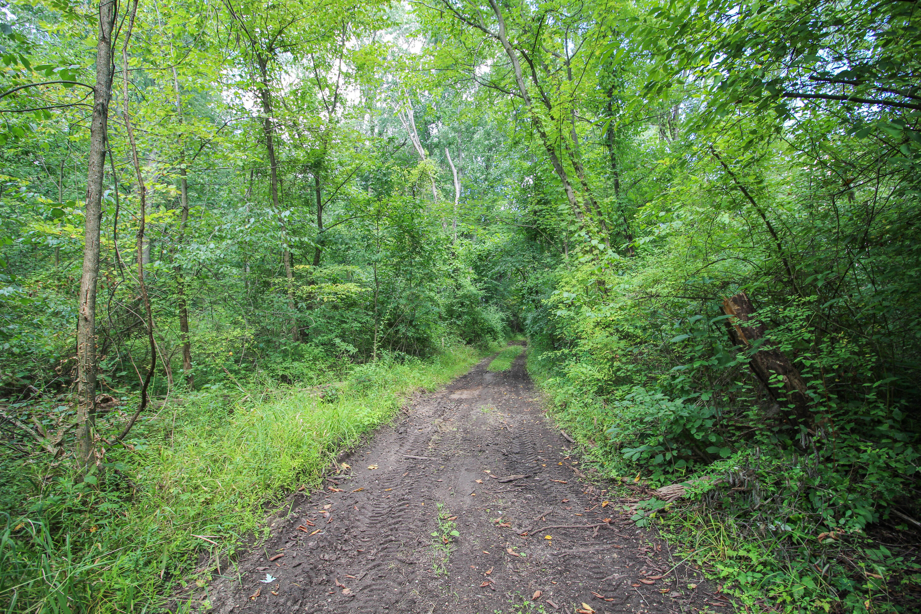 18124 South Fisher Lake Road Three Rivers, MI 49093 - Photo 64 of 85 S Fisher Lake-70