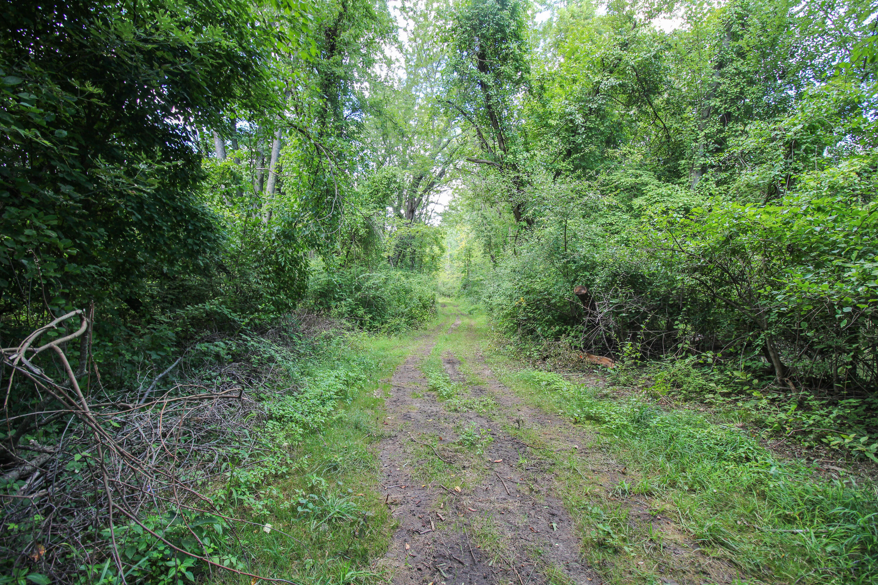 18124 South Fisher Lake Road Three Rivers, MI 49093 - Photo 65 of 85 S Fisher Lake-71