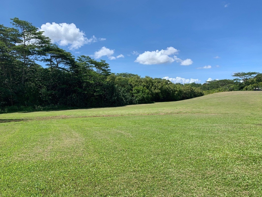 5552 Kuamoo Road, Unit 5 Kapaa, HI 96746 - Photo 1 of 19 Gallery Image 1
