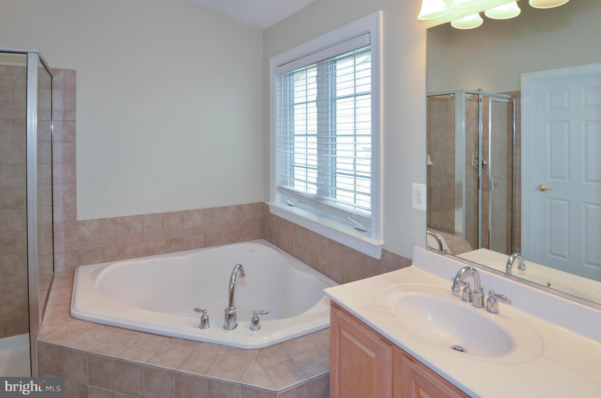 8306 Merlot Lane, Unit 137 Laurel, MD 20723 - Photo 19 of 30 a white bath tub sitting in a bathroom next to a window