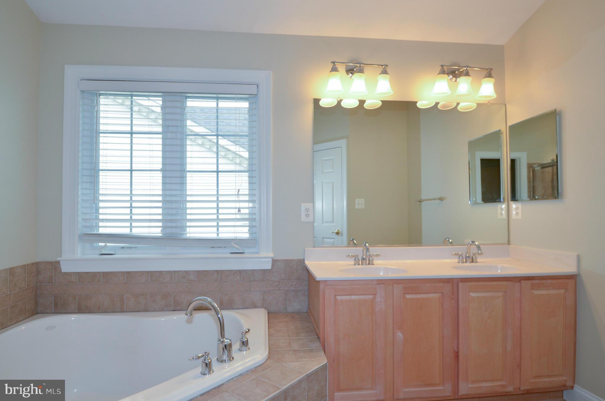 8306 Merlot Lane, Unit 137 Laurel, MD 20723 - Photo 20 of 30 a bathroom with a tub a sink and a large mirror