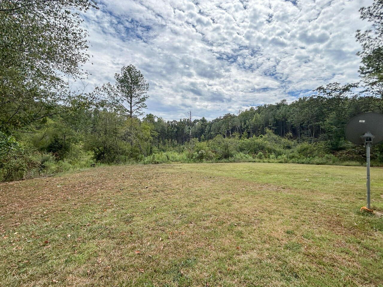 1702 McCollum Road Jasper, AL 35501 - Photo 28 of 28 Gallery Image 28
