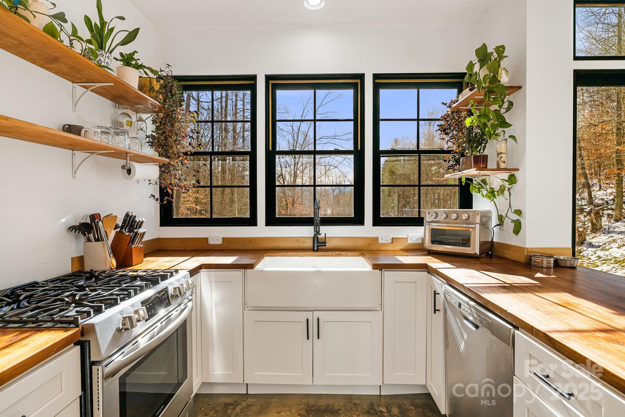 240 Jordan Branch Road Mars Hill, NC 28754 - Photo 8 of 48 Gallery Image 8
