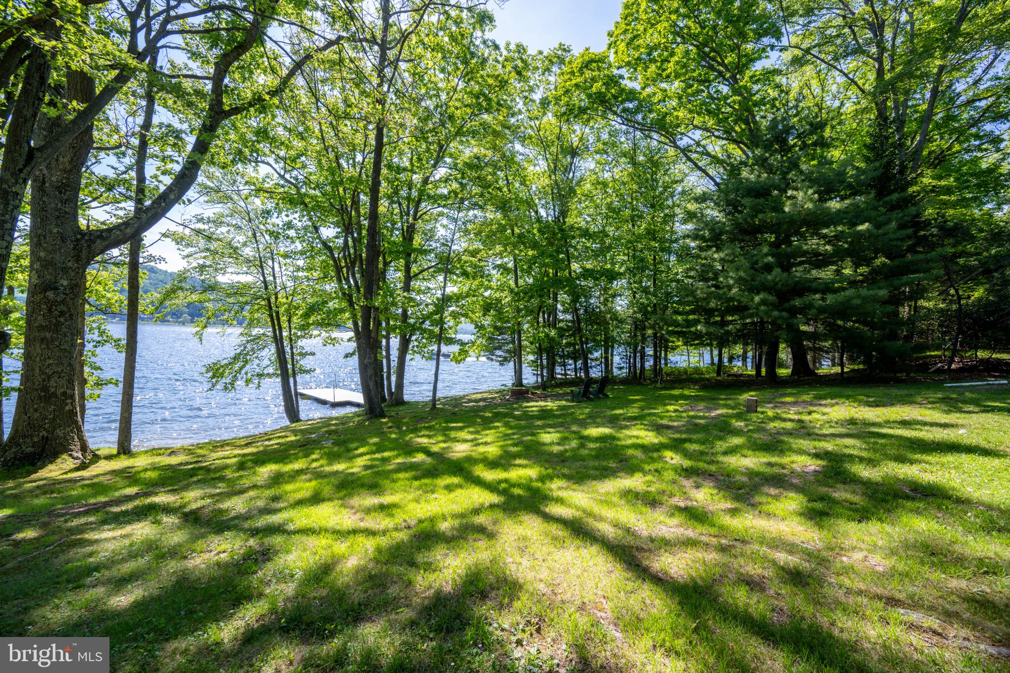2187 State Park Road Swanton, MD 21561 - Photo 29 of 29 a view of backyard with trees