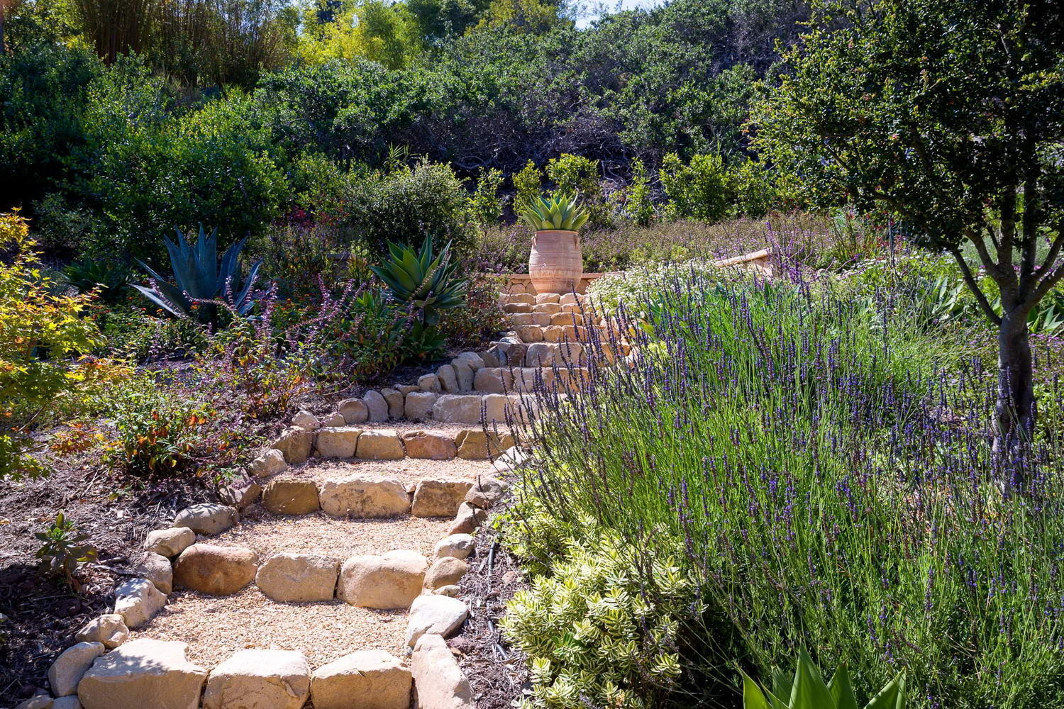 2850 Torito Road Santa Barbara, CA 93108 - Photo 16 of 18 a view of a garden with plants