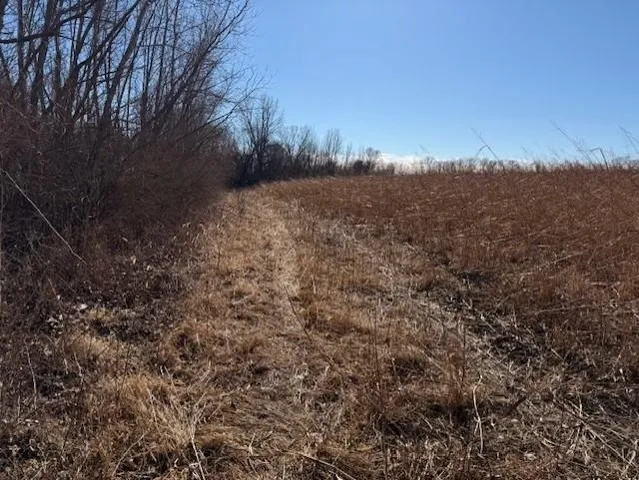 $187,000 | Tract A East 195th Street, Peculiar, MO 64078