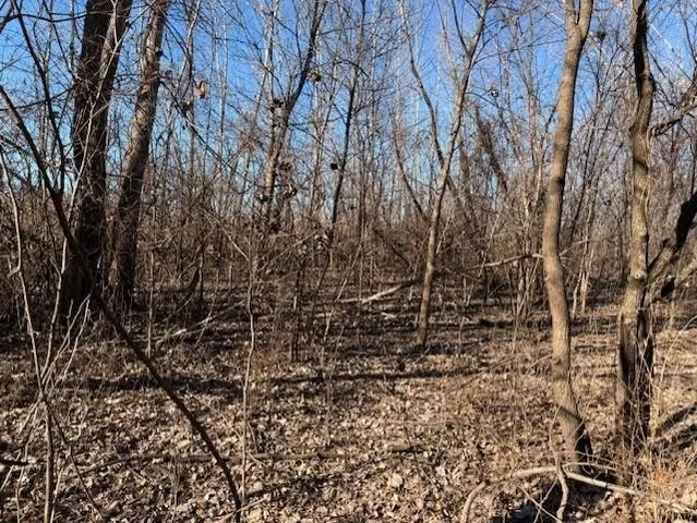 $187,000 | Tract A East 195th Street, Peculiar, MO 64078