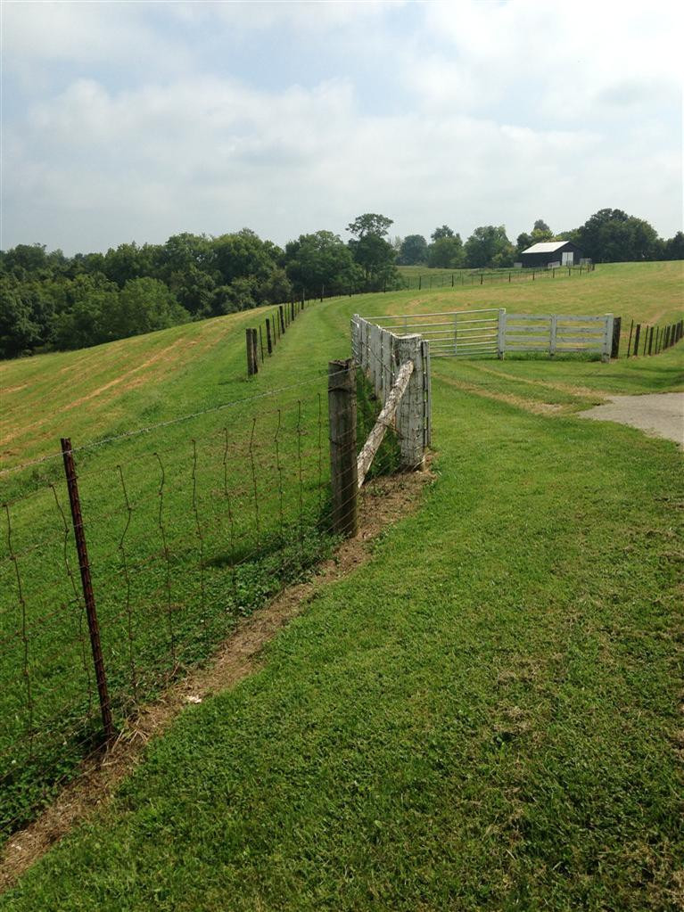 1 Taylor Ridge Road Nicholasville, KY 40356 - Photo 2 of 17 Photo 2