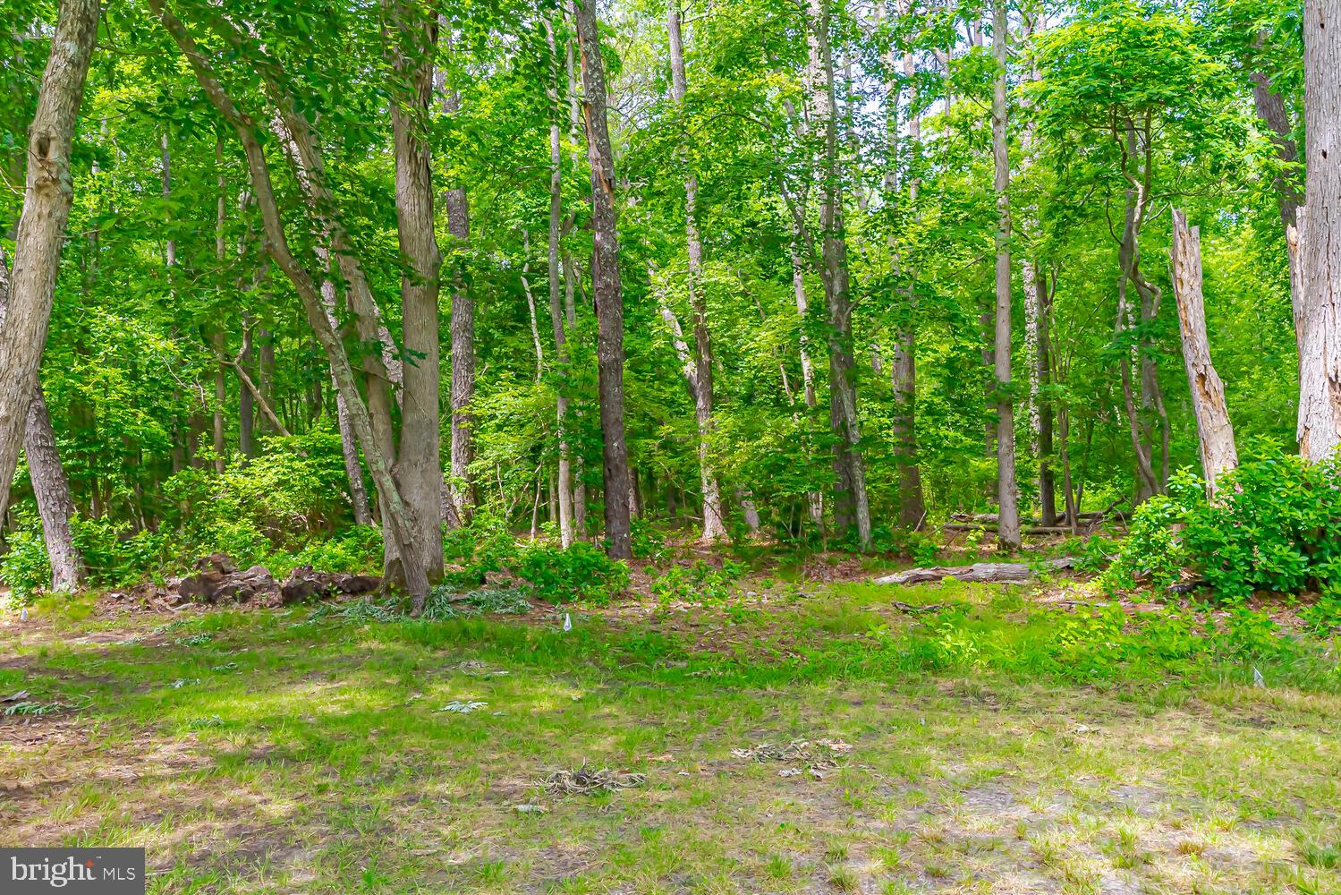 209 Birch Road Tuckerton, NJ 08087 - Photo 7 of 30 Gallery Image 7