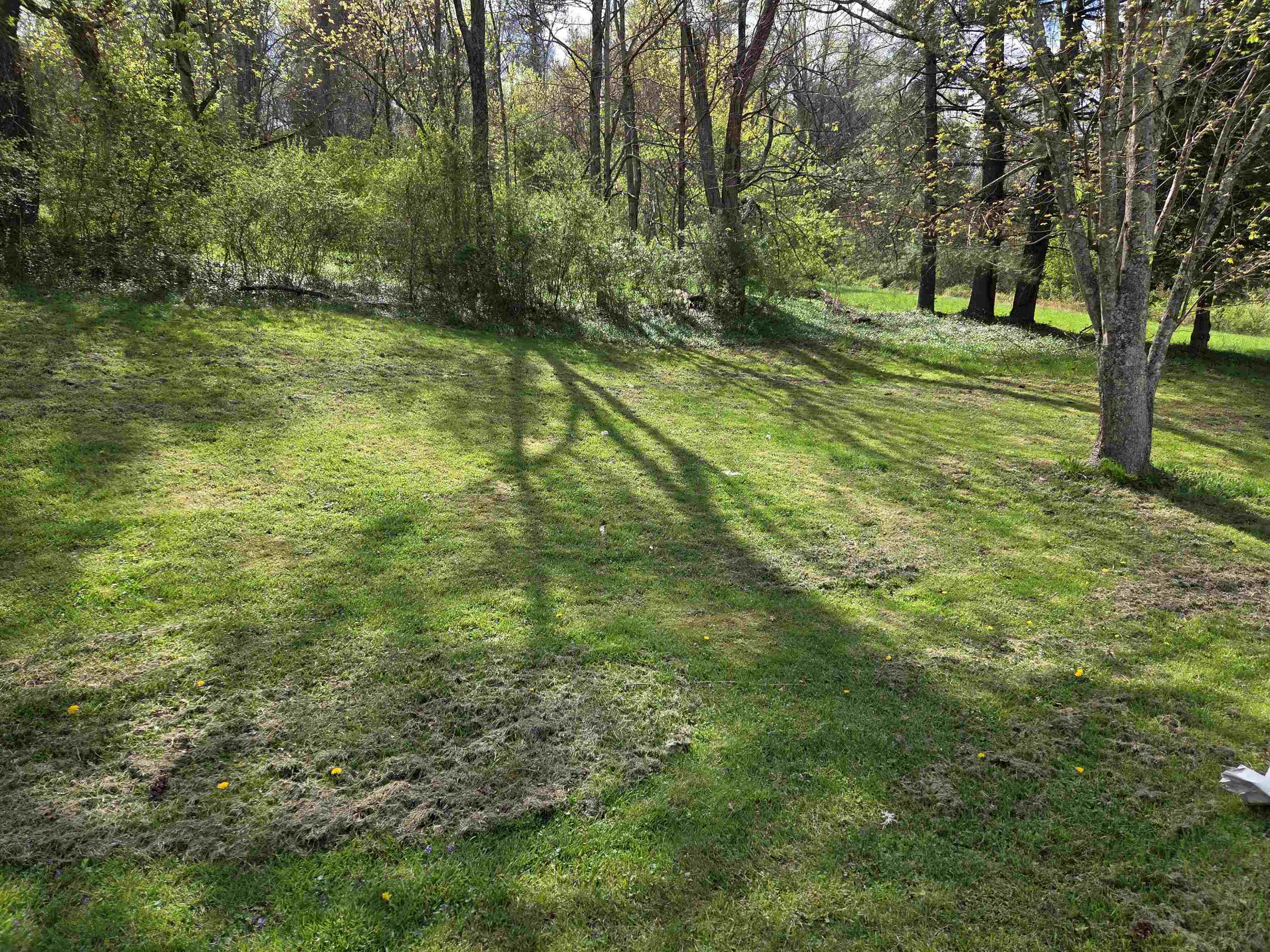 301 Womack Road Grayson, KY 41143 - Photo 5 of 14