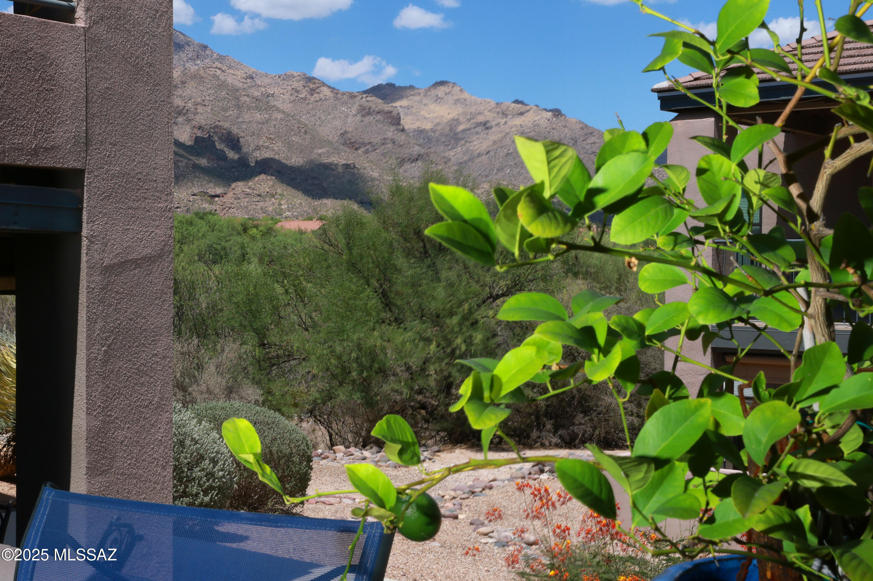 5800 North Kolb Road, Unit 9150 Tucson, AZ 85750 - Photo 1 of 37 Gallery Image 1