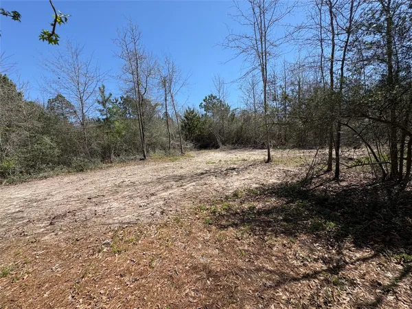 $165,000 | 0 County Road 4180, Lovelady, TX 75851