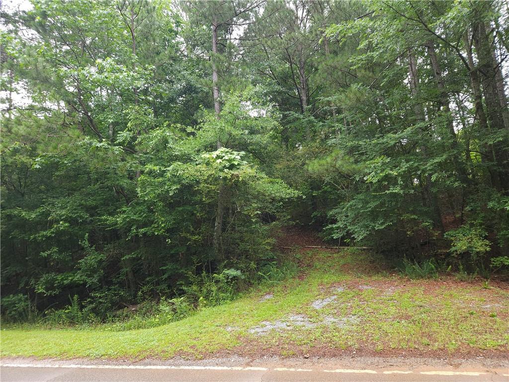 0 Potash Road Cedartown, GA 30125 - Photo 2 of 15