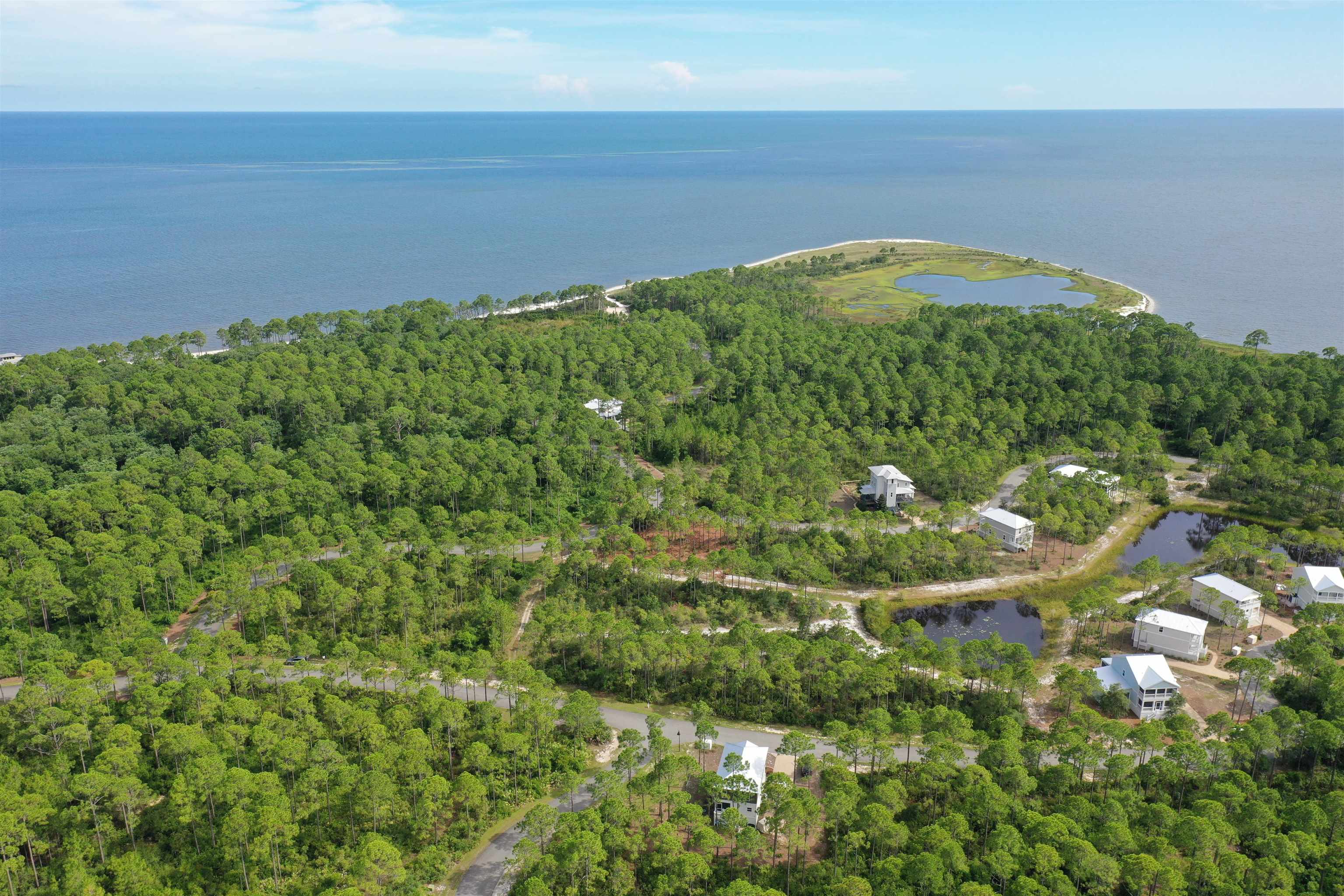 134 Fishhook Way Sopchoppy, FL 32358 - Photo 11 of 33