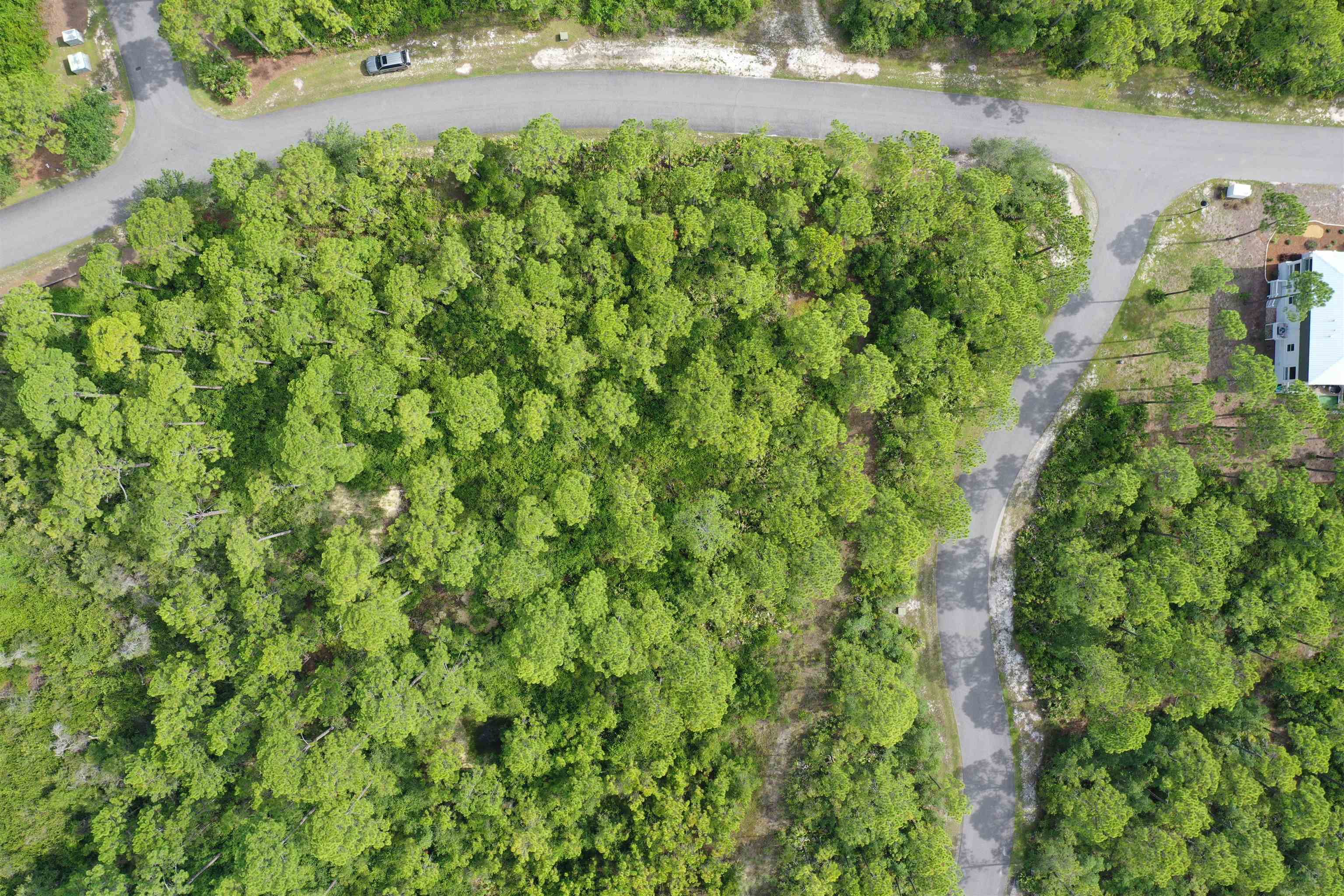 134 Fishhook Way Sopchoppy, FL 32358 - Photo 21 of 33