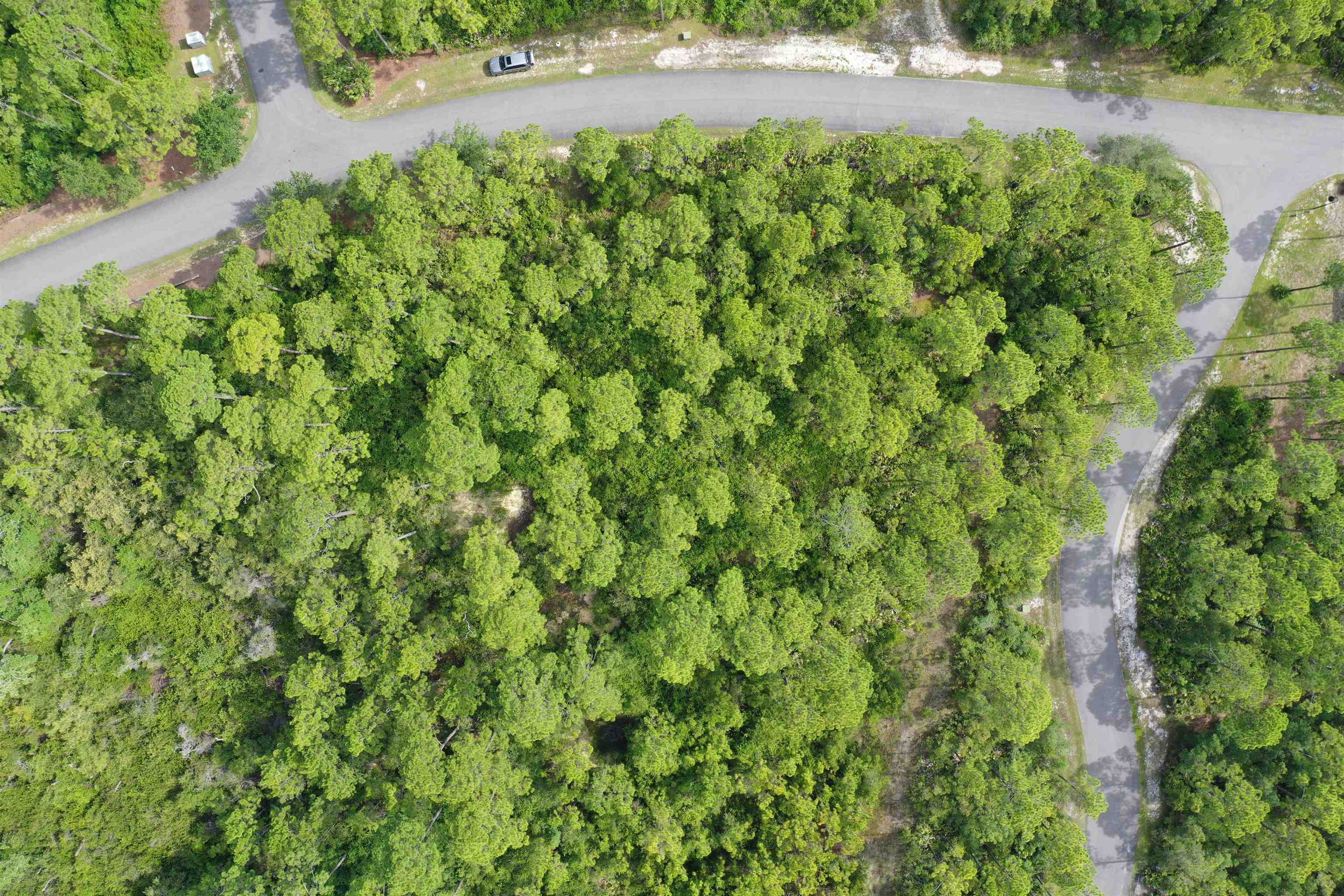 134 Fishhook Way Sopchoppy, FL 32358 - Photo 22 of 33