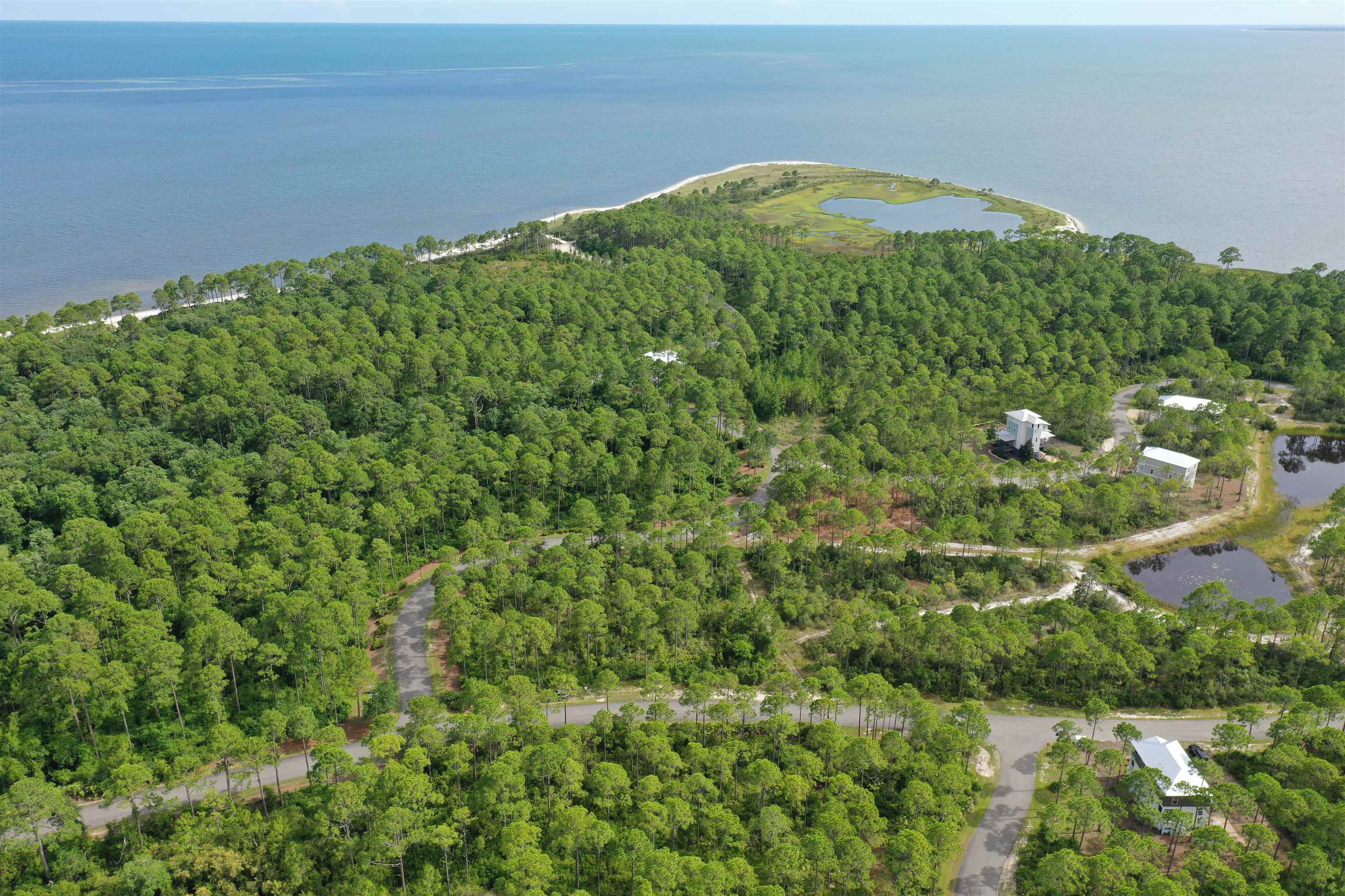 134 Fishhook Way Sopchoppy, FL 32358 - Photo 25 of 33