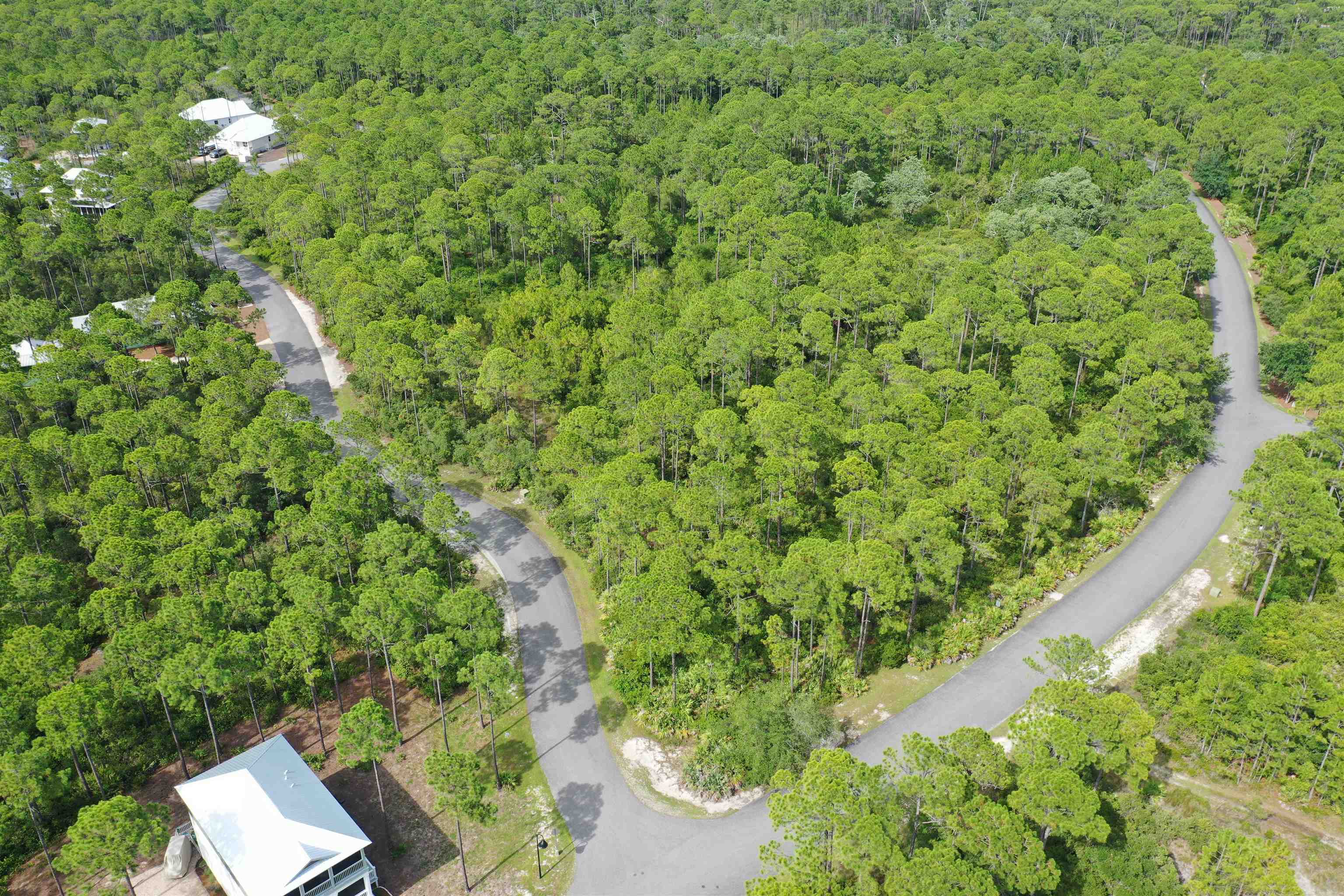 134 Fishhook Way Sopchoppy, FL 32358 - Photo 28 of 33