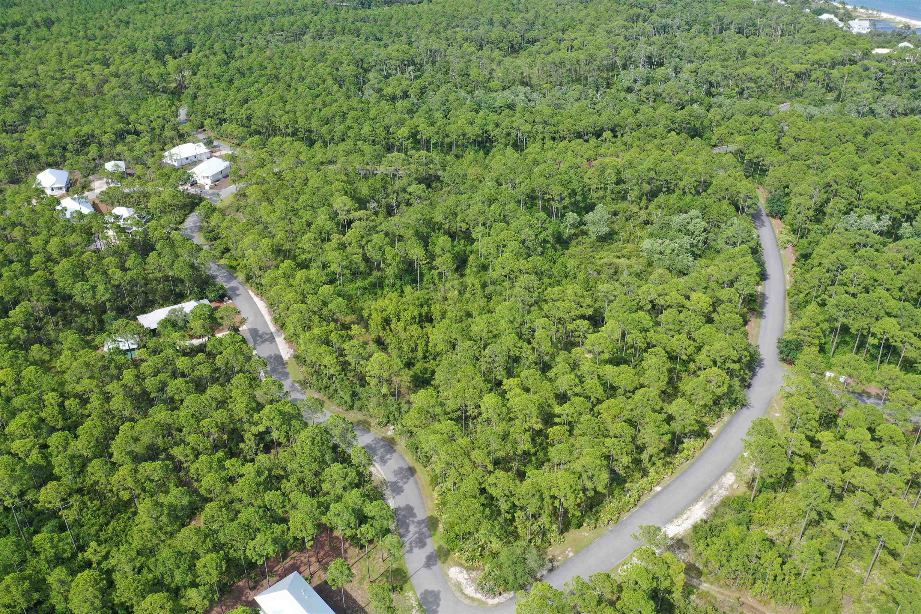 134 Fishhook Way Sopchoppy, FL 32358 - Photo 31 of 33