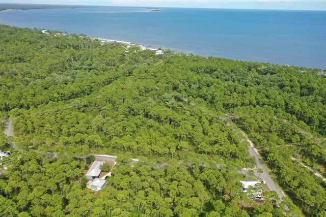 $79,000 | 134 Fishhook Way, Sopchoppy, FL 32358