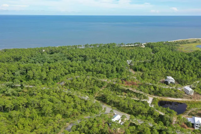 $79,000 | 134 Fishhook Way, Sopchoppy, FL 32358