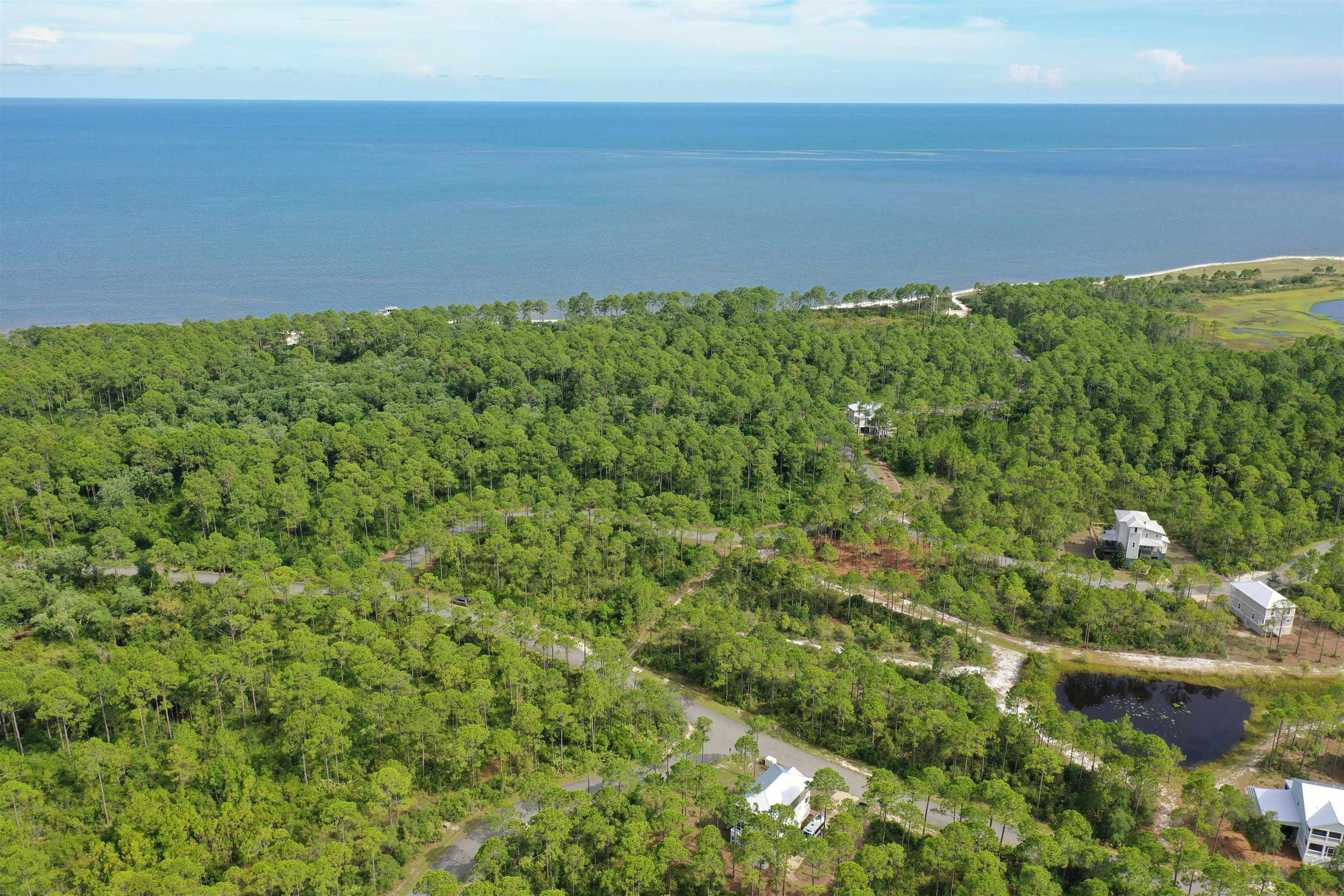 134 Fishhook Way Sopchoppy, FL 32358 - Photo 7 of 33