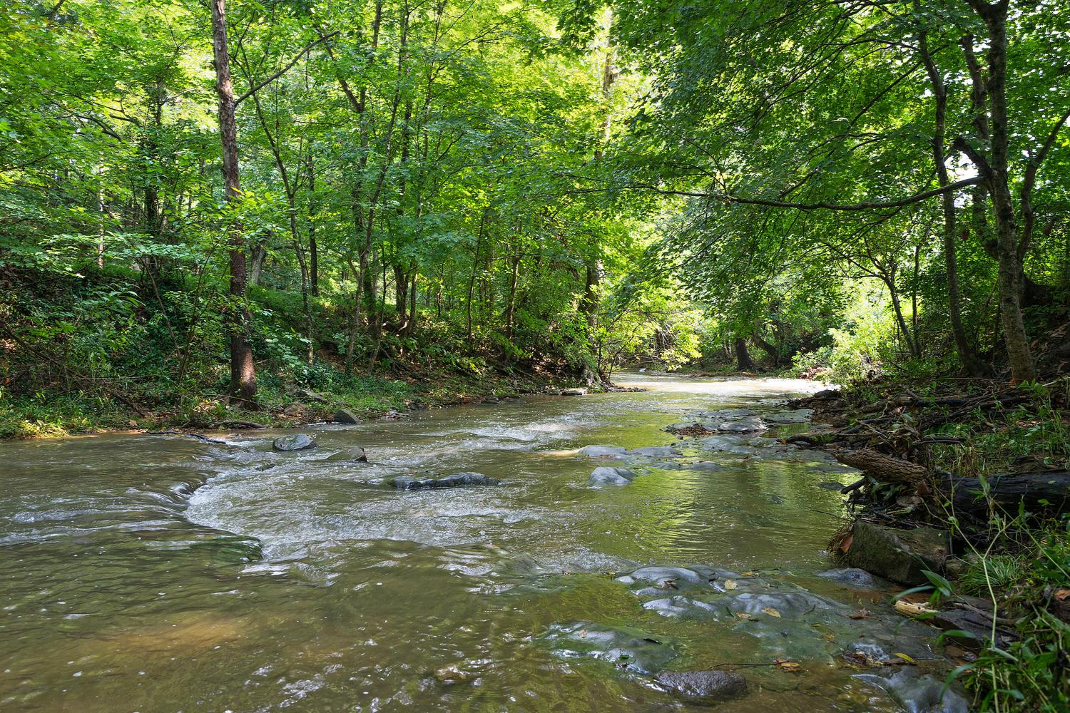 4973 Louise Creek Road Cunningham, TN 37052 - Photo 27 of 30 Gallery Image 27
