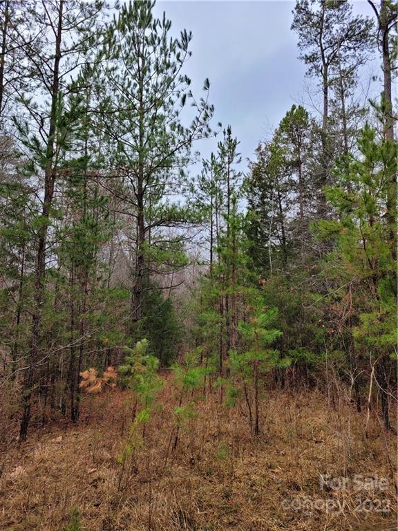 12500 Bethel Church Road Midland, NC 28107 - Photo 4 of 10 Gallery Image 4