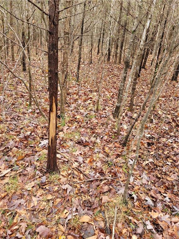 12500 Bethel Church Road Midland, NC 28107 - Photo 5 of 10 Gallery Image 5