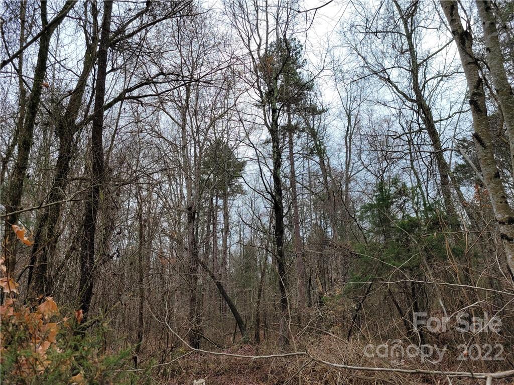12500 Bethel Church Road Midland, NC 28107 - Photo 7 of 10 Gallery Image 7