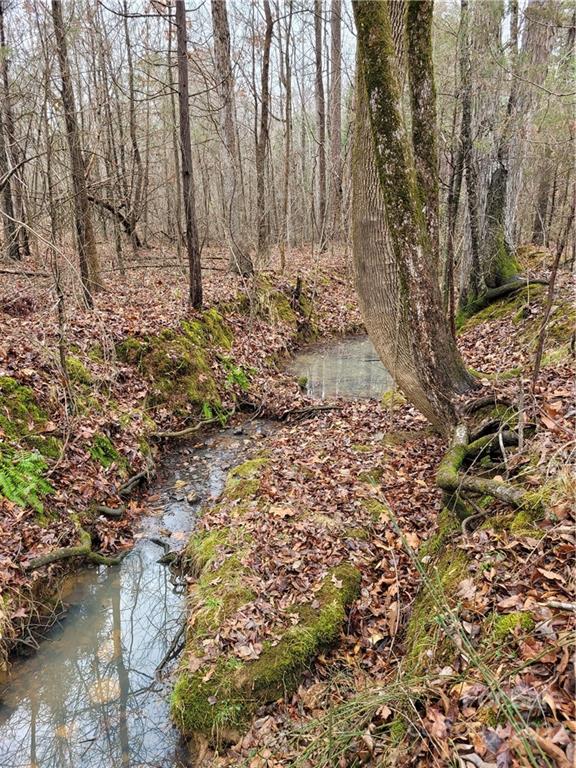 12500 Bethel Church Road Midland, NC 28107 - Photo 8 of 10 Gallery Image 8