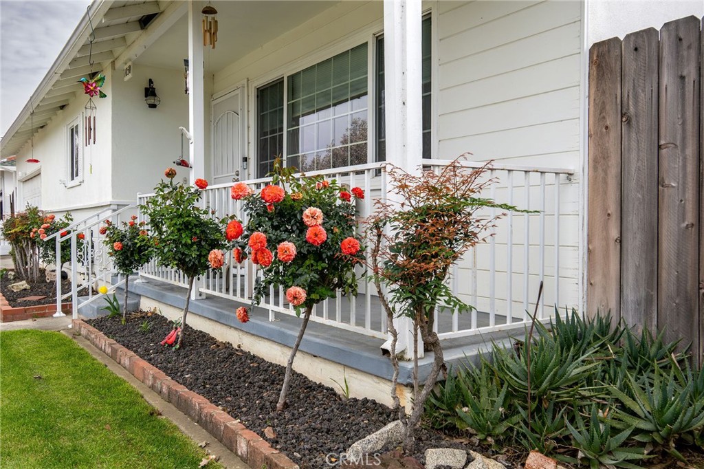1050 West Cedar Street Willows, CA 95988 - Photo 2 of 39 Gorgeous rose bushes