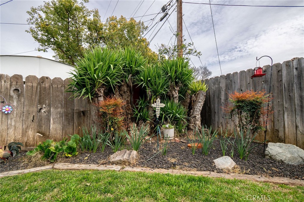 1050 West Cedar Street Willows, CA 95988 - Photo 31 of 39 Beautiful landscaping- spring will bring many flowers!