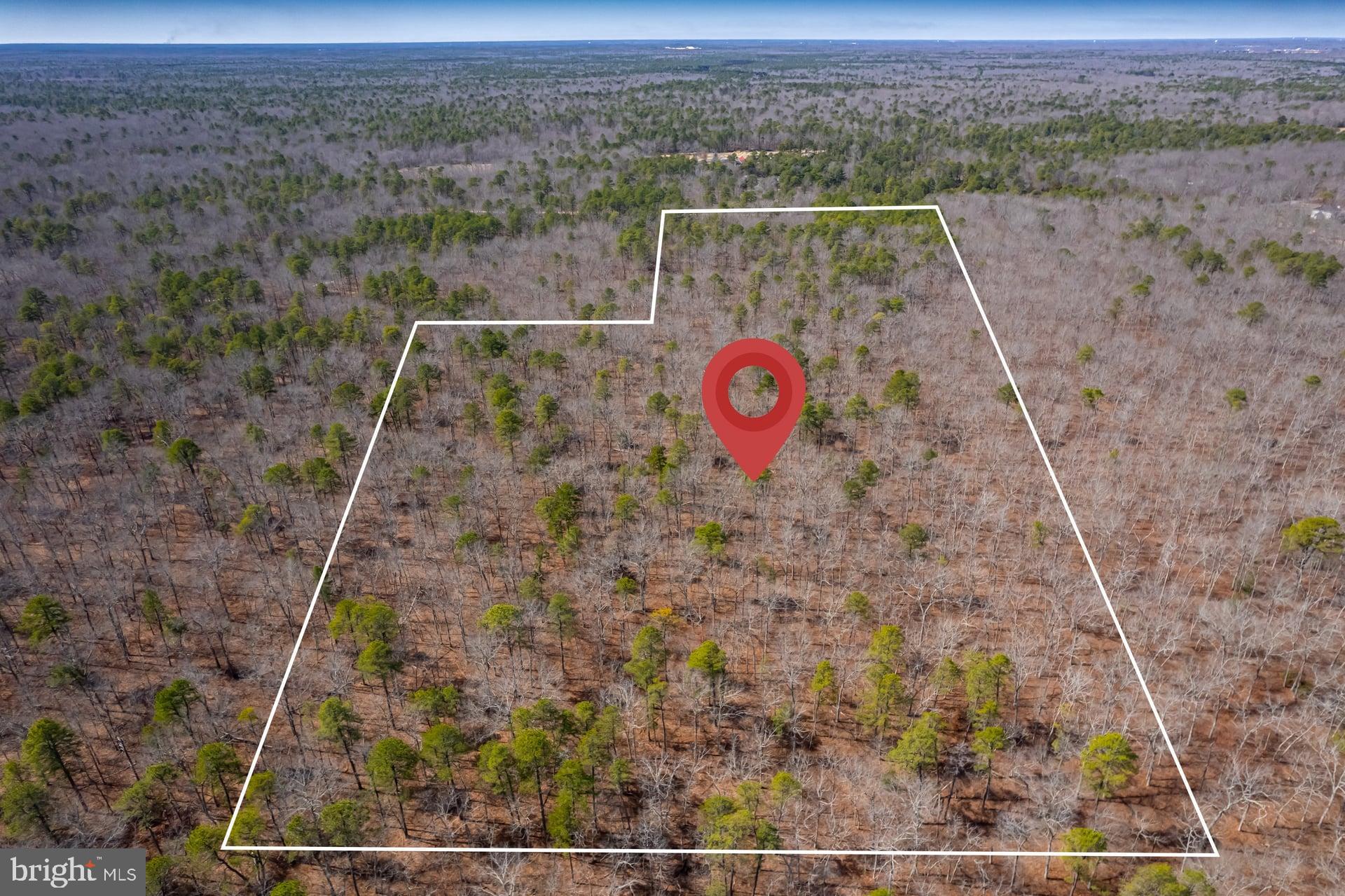 0 Townsend Avenue Milmay, NJ 08340 - Photo 11 of 11 a view of a dry yard