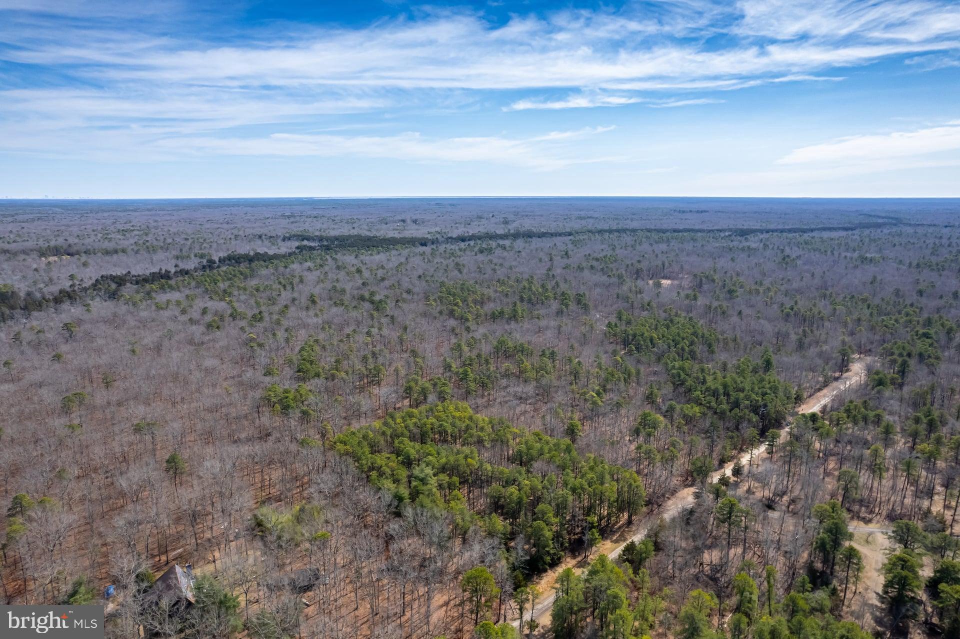 0 Townsend Avenue Milmay, NJ 08340 - Photo 2 of 11 a view of a dry yard with large trees